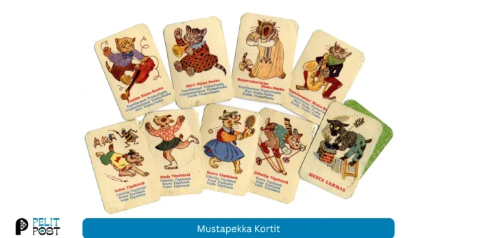 Mustapekka kortit