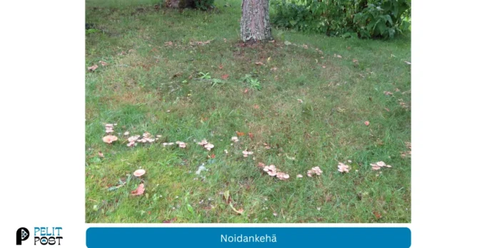 Noidankehä