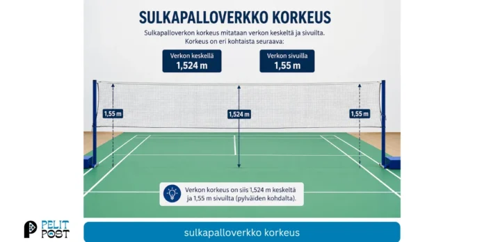 Sulkapalloverkko korkeus